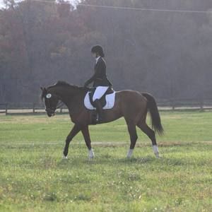 Meet your Posher, Alanna